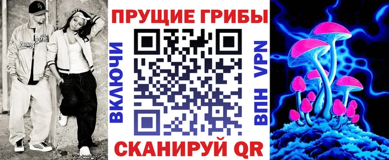 Псилоцибиновые грибы Cubensis  Бердск 